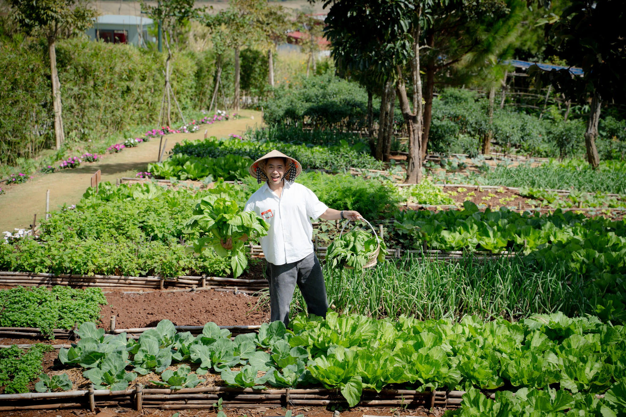 TRỌN NGUỒN NĂNG LƯỢNG AN LẠC